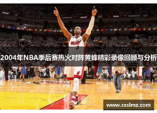 2004年NBA季后赛热火对阵黄蜂精彩录像回顾与分析