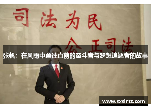 张帆：在风雨中勇往直前的奋斗者与梦想追逐者的故事